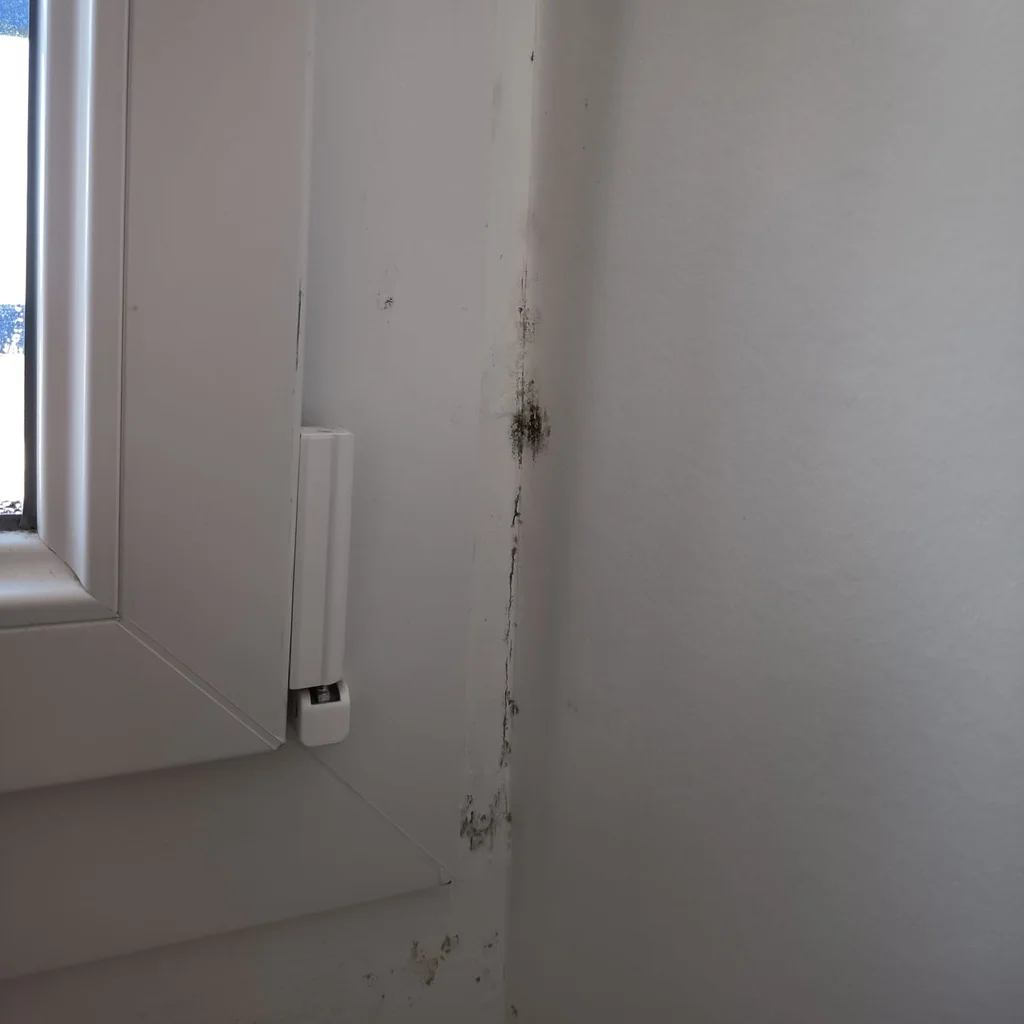 DryTape Window
