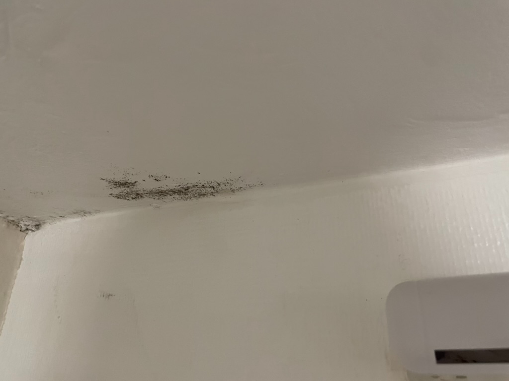 Moisissures au plafond de la chambre – avant installation