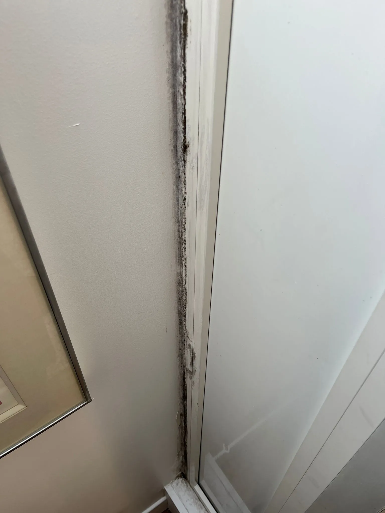Moisissures noires sur cadre de porte-fenêtre – avant installation
