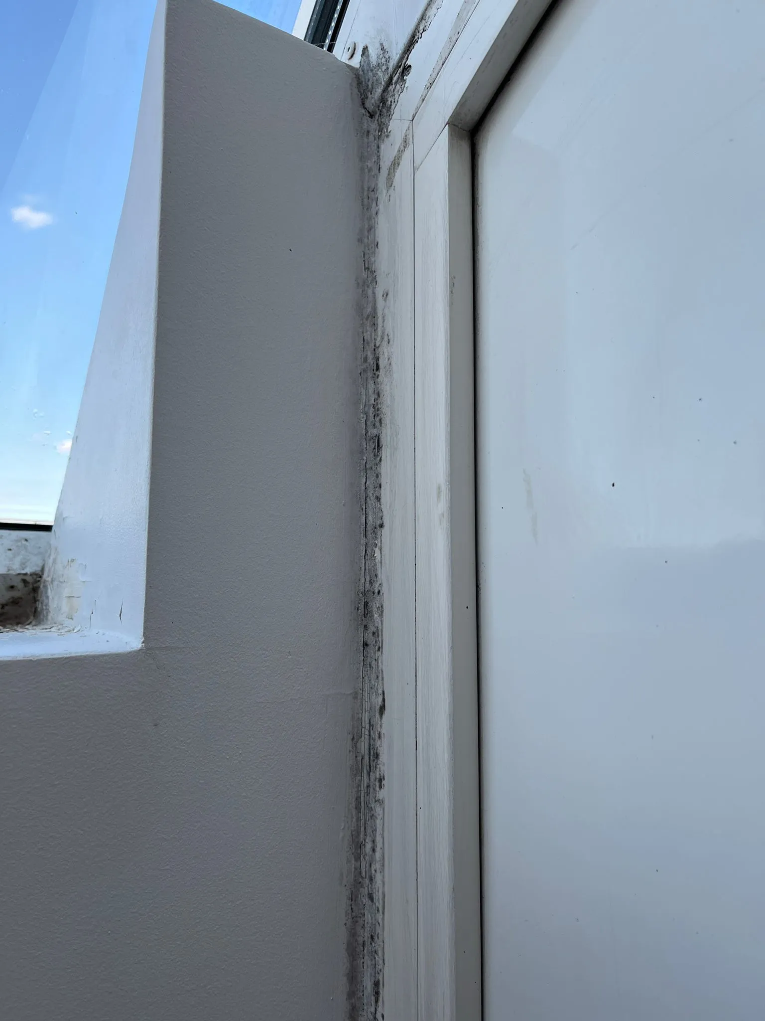 Moisissures sur montant de fenêtre – avant installation
