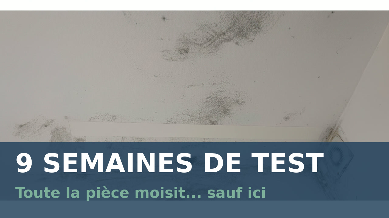 Test réel : 9 semaines face aux moisissures dans une salle de bains